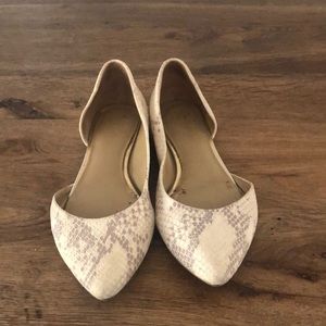 Ann Taylor Flats